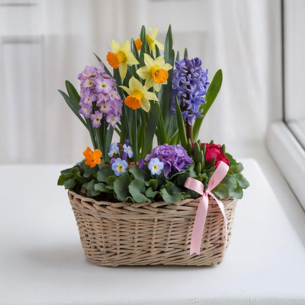 Cestino piccolo di Piante da Esterno (Creazione del Fiorista) | Consegna Fiori a Domicilio per Compleanno, Festa della mamma, Pasqua