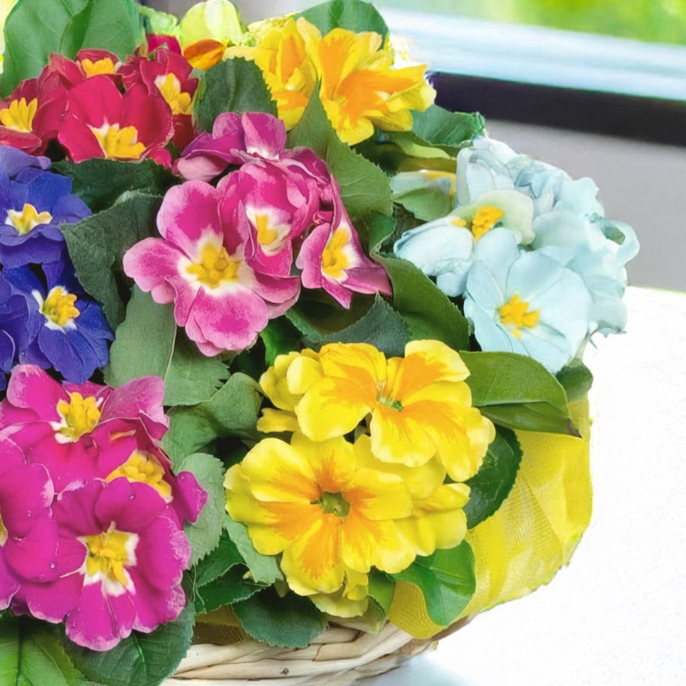 Ciotola piccolo di Piante Fiorite da Esterno (Secondo Disponibilità Fiorista) | Consegna Fiori a Domicilio per Compleanno, Festa della mamma, Pasqua