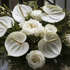 ETERNAL REST - Funeral Bowl with Anthuriums and White Roses