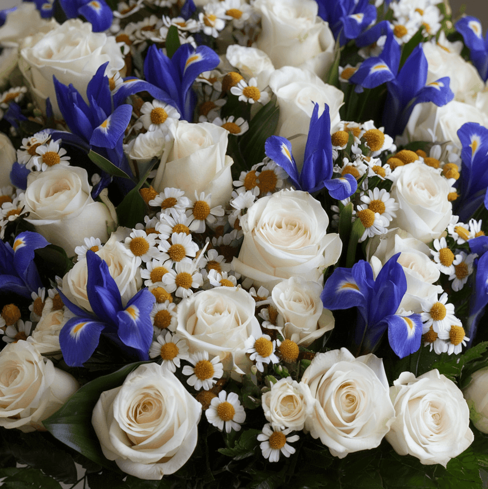 Bouquet piccolo di Rose Bianche e Iris | Consegna Fiori a Domicilio per ANNIVERSARI, Compleanno, Festa della Donna, Festa della Mamma, Laurea, MATRIMONIO, Nascite, Pasqua, RINGRAZIAMENTI, SAN VALENTINO