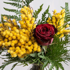 THE MOST IMPORTANT WOMAN - Red Roses with Mimosa (3 to 50 Roses)