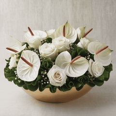 ETERNAL REST - Funeral Bowl with Anthuriums and White Roses