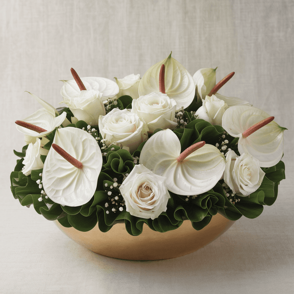 Ciotola piccola con Anthurium e Rose Bianche | Consegna Fiori a Domicilio per CONDOGLIANZE