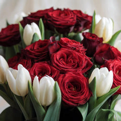 ROSSO INCANTO – Rose Rosse e Tulipani (Colore a Scelta del Fiorista)