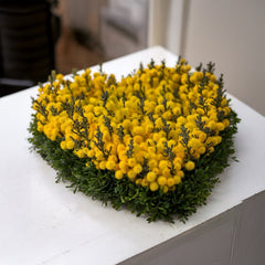 GOLDEN EMBRACE - Heart of Mimosa and Decorative Greenery