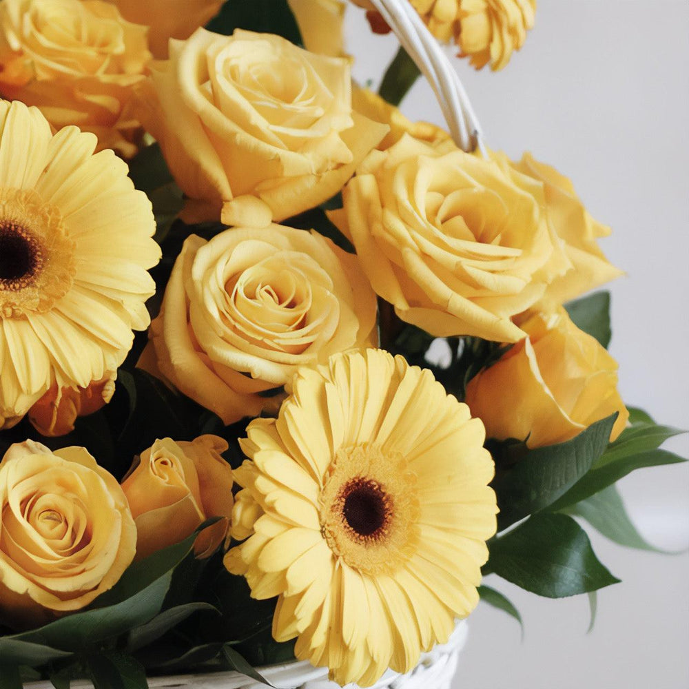 Ciotola di Gerbere e Tulipani | Consegna Fiori a Domicilio per Compleanno, Festa del Papà, Pasqua, RINGRAZIAMENTI