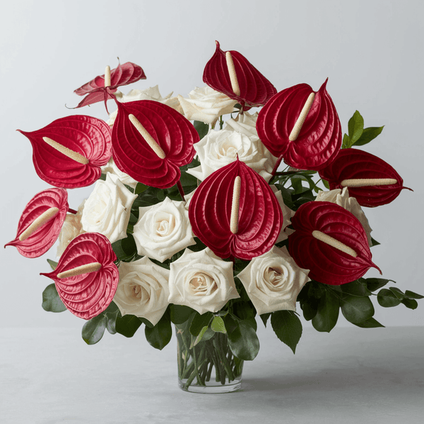 Composizione piccola Anthurium Rossi e Rose Bianche | Consegna Fiori a Domicilio per CONDOGLIANZE